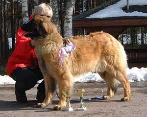 Lelionaz Ursus Ponica Exotica